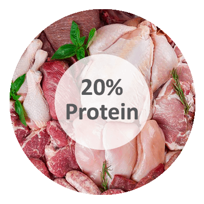 protein