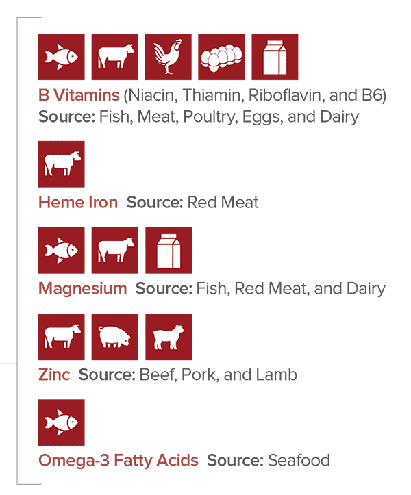 protein sources