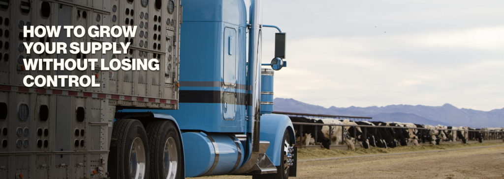 Blue semi-truck hauling livestock trailer parked at a cattle farm, with the headline "How to grow your supply without losing control".
